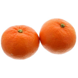 MANDARINE MANDERED KG